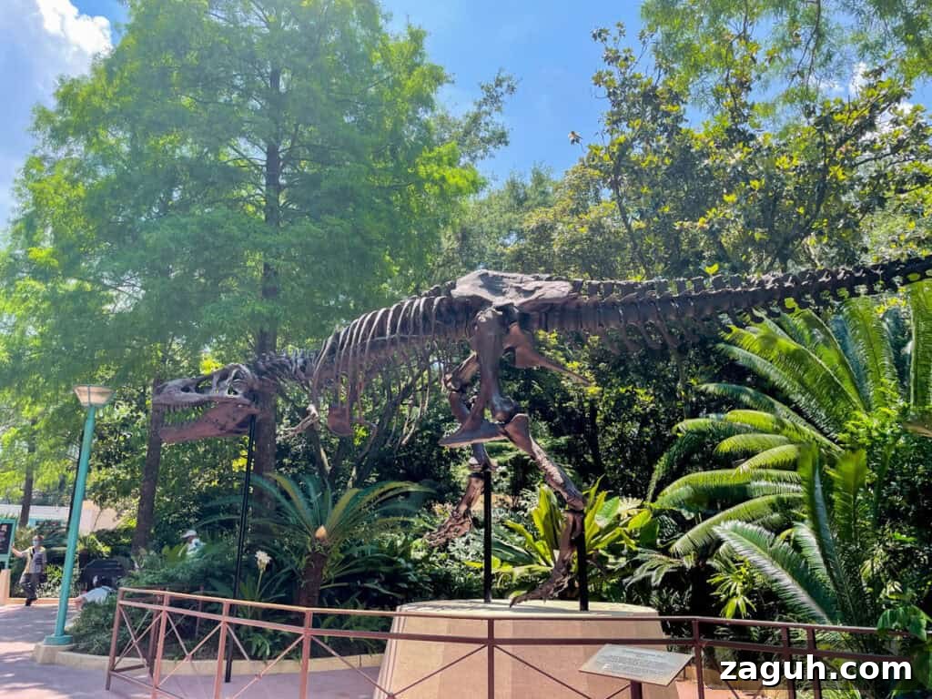 Dinosaurs of the Animal Kingdom: Discover Their World 3 skeleton of a dinosaur in Dinoland USA.