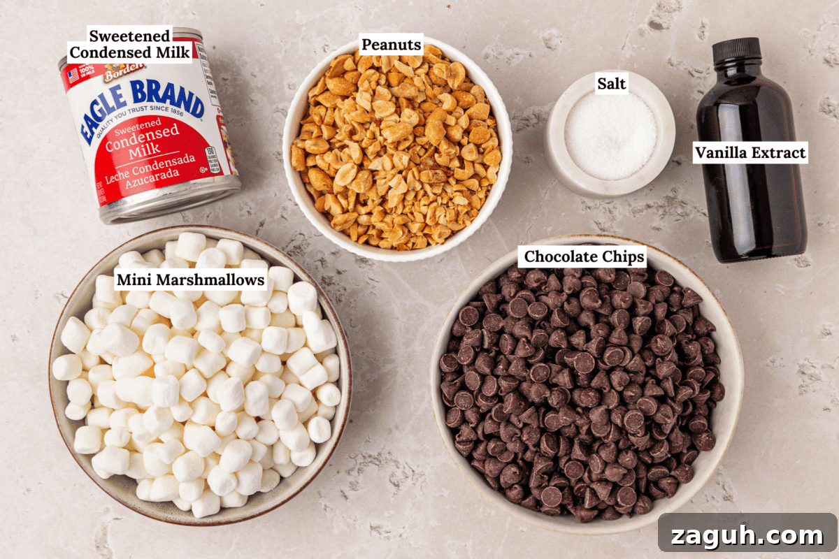 Five ingredients for a recipe are arranged on a counter: a can of sweetened condensed milk, a bowl of peanuts, a bowl of mini marshmallows, a bowl of chocolate chips, a bowl of salt, and a bottle of vanilla extract.