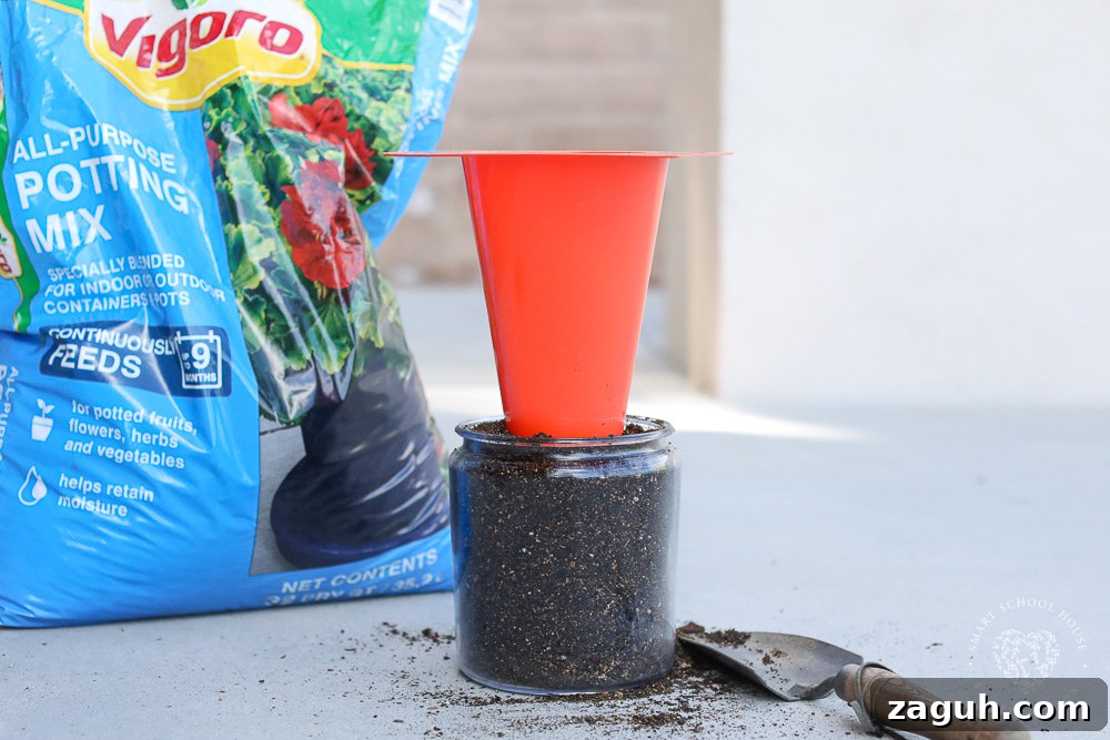 Place cone upside down in soil