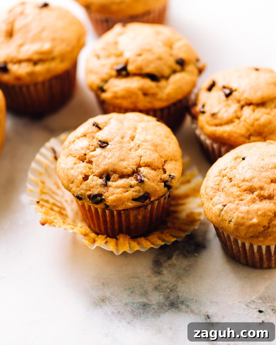 Pumpkin Chocolate Chip Muffins on a counter.