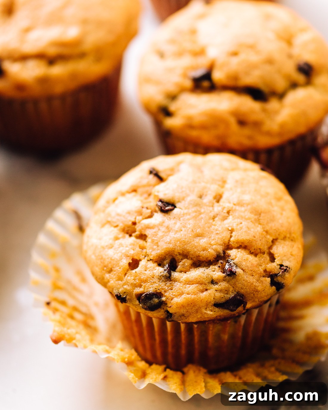 Pumpkin Chocolate Chip Muffin closeup photo.