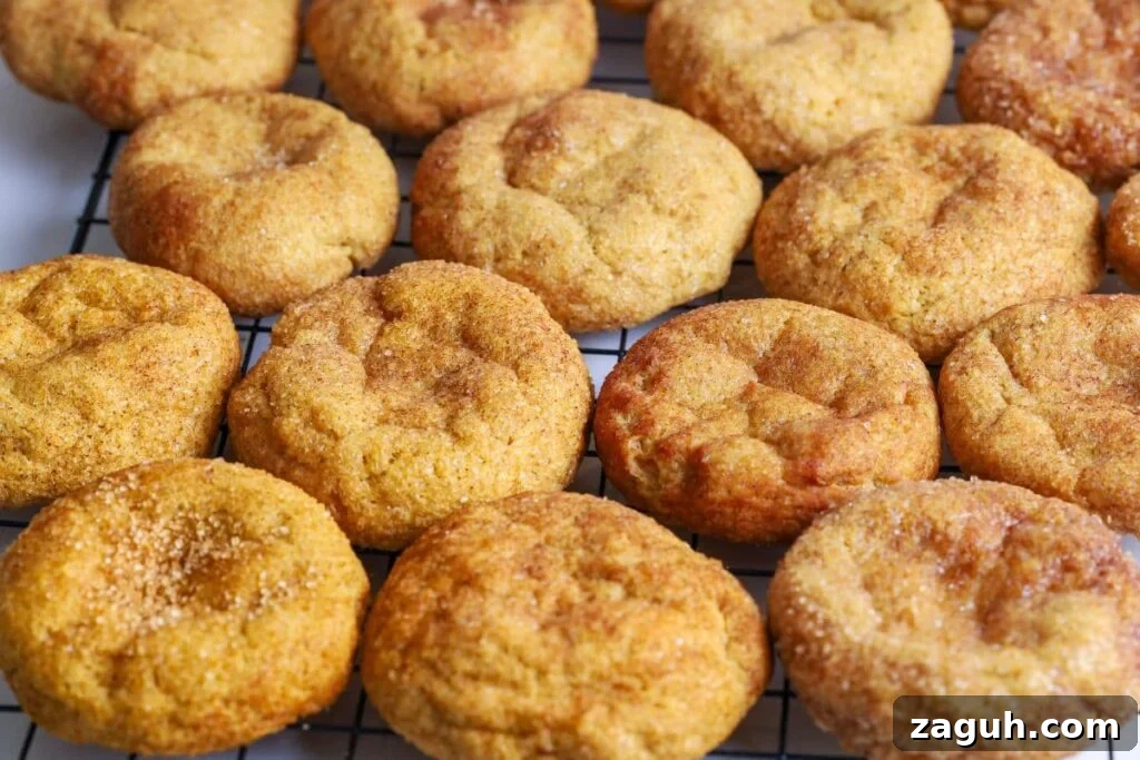 Sourdough Pumpkin Snickerdoodles: Spiced Autumn Cookies Recipe 2 Close up of sourdough pumpkin snickerdoodles cooling on a wire rack.