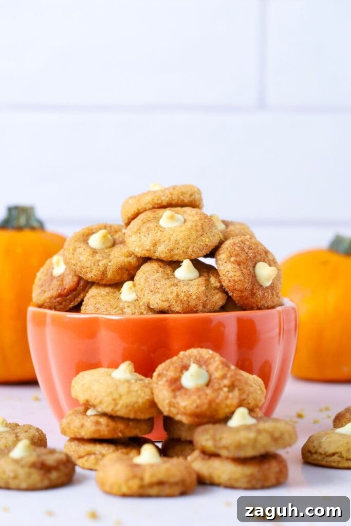 Sourdough Pumpkin Snickerdoodles: Spiced Autumn Cookies Recipe 8 img 38663 7