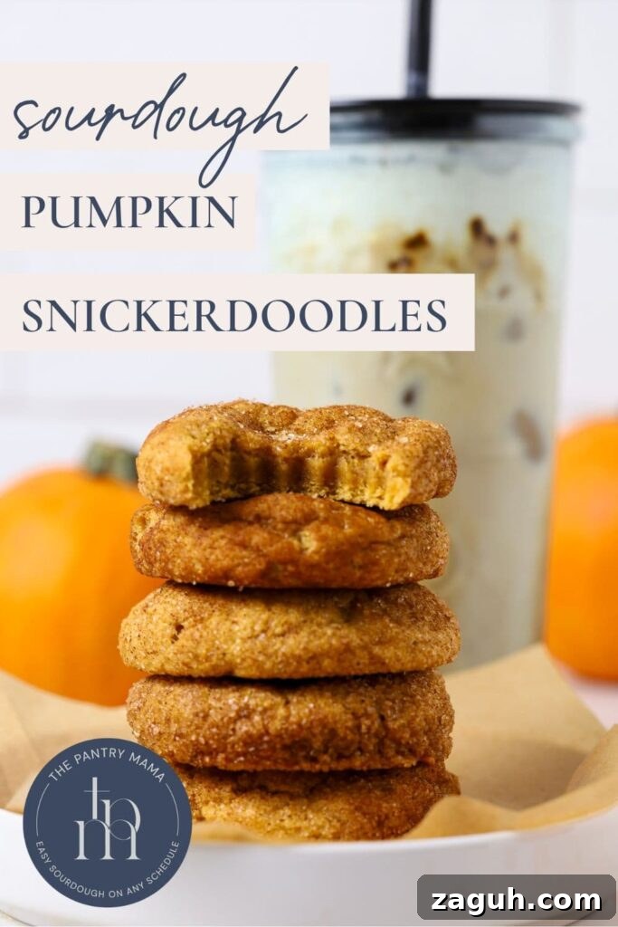 Sourdough Pumpkin Snickerdoodles: Spiced Autumn Cookies Recipe 9 Sourdough pumpkin snickerdoodles - pinterest pin
