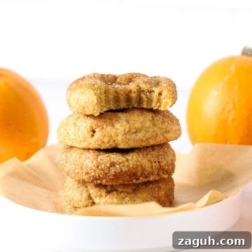 Sourdough Pumpkin Snickerdoodles: Spiced Autumn Cookies Recipe 10 A stack of sourdough pumpkin snickerdoodles on a white plate.