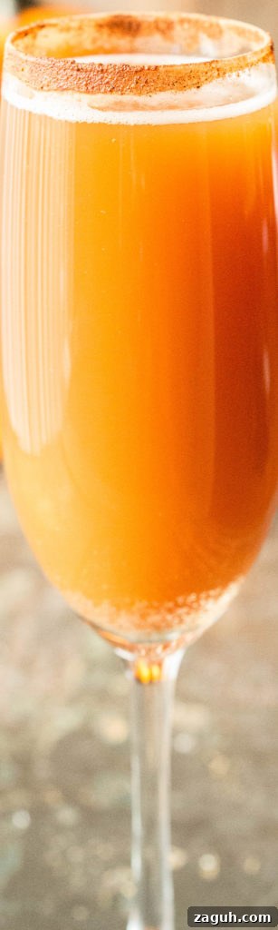 4 Fall Mimosa Recipes to Celebrate the Season 10 Pumpkin Ale "Beermosa" - Best Fall or Thanksgiving Drink Recipe made with Beer