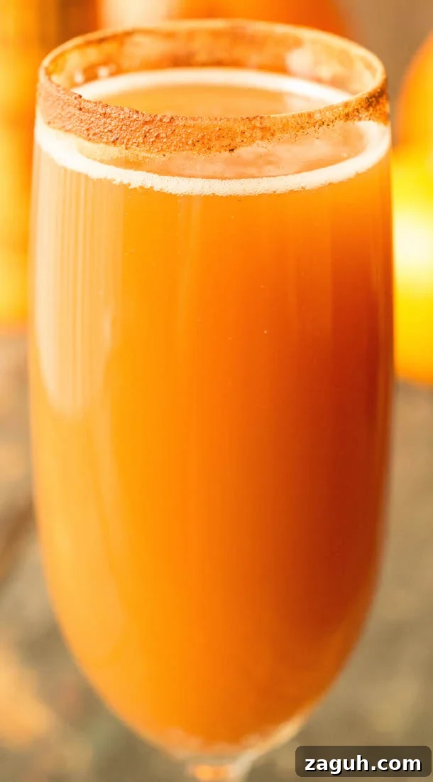 4 Fall Mimosa Recipes to Celebrate the Season 7 Orange Pumpkin Ale Beermosa with a pumpkin spice rim.