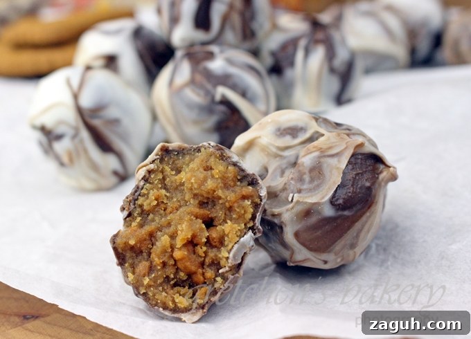 Cookie Butter Crunch Energy Bites 2 Cookie Butter Crunch Balls