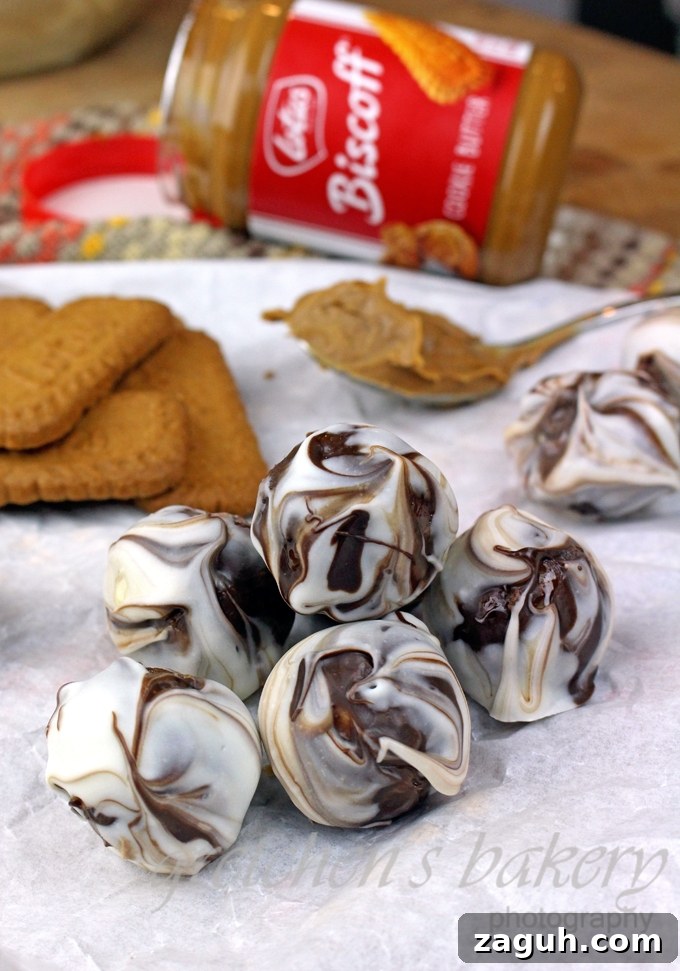 Cookie Butter Crunch Energy Bites 4 Cookie Butter Crunch Balls