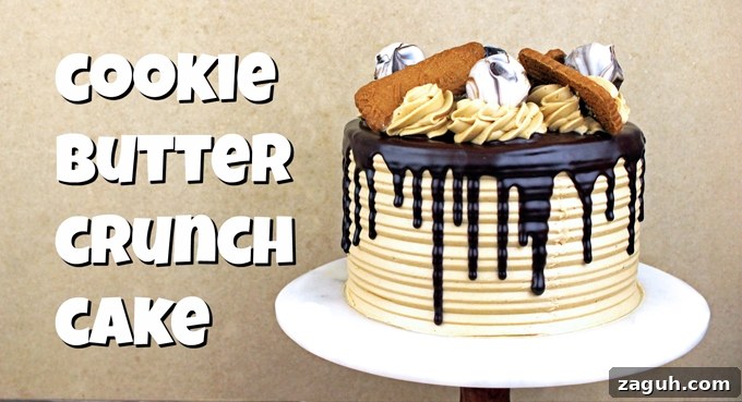 Cookie Butter Crunch Energy Bites 5 Cookie Butter Crunch Cake