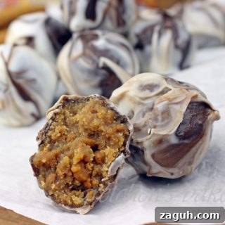 Cookie Butter Crunch Energy Bites 6 Cookie Butter Crunch Balls