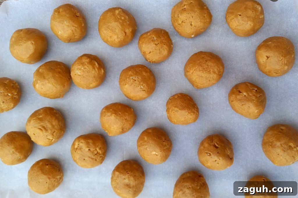 Old-Fashioned Peanut Butter Balls — Classic Amish Candy Recipe 2 peanut butter balls ready to be dipped