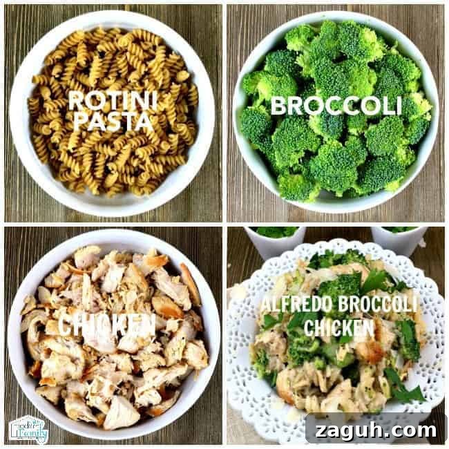 ALFREDO CHICKEN BROCCOLI