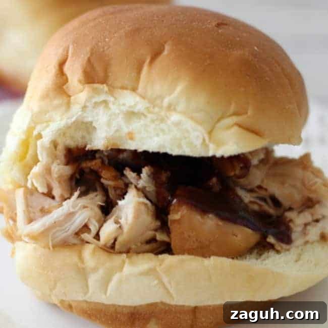 A close up a sandwich on a bun.