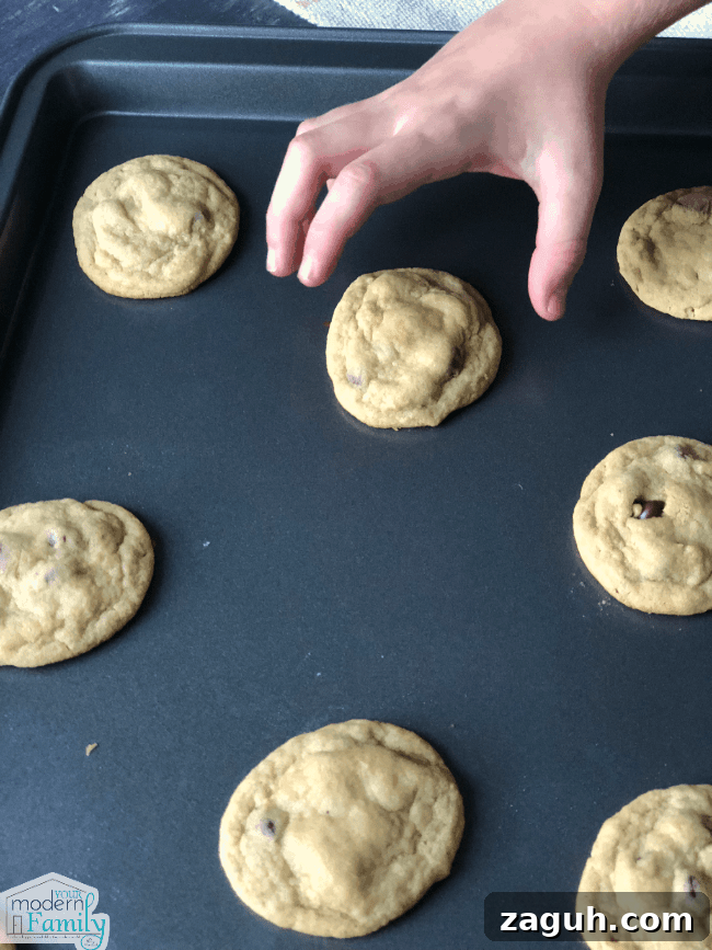 taking cookies - healthier choc chip cookies