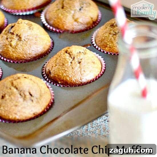 A close up of Banana Chocolate Chip muffins still in a muffin tin with a bottle of white milk beside them.