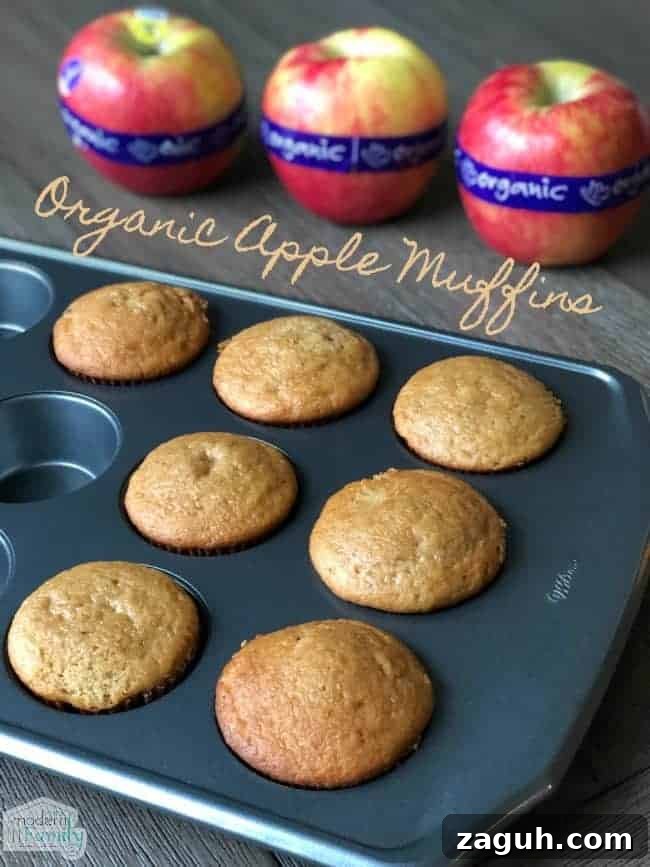 Organic Apple Muffins