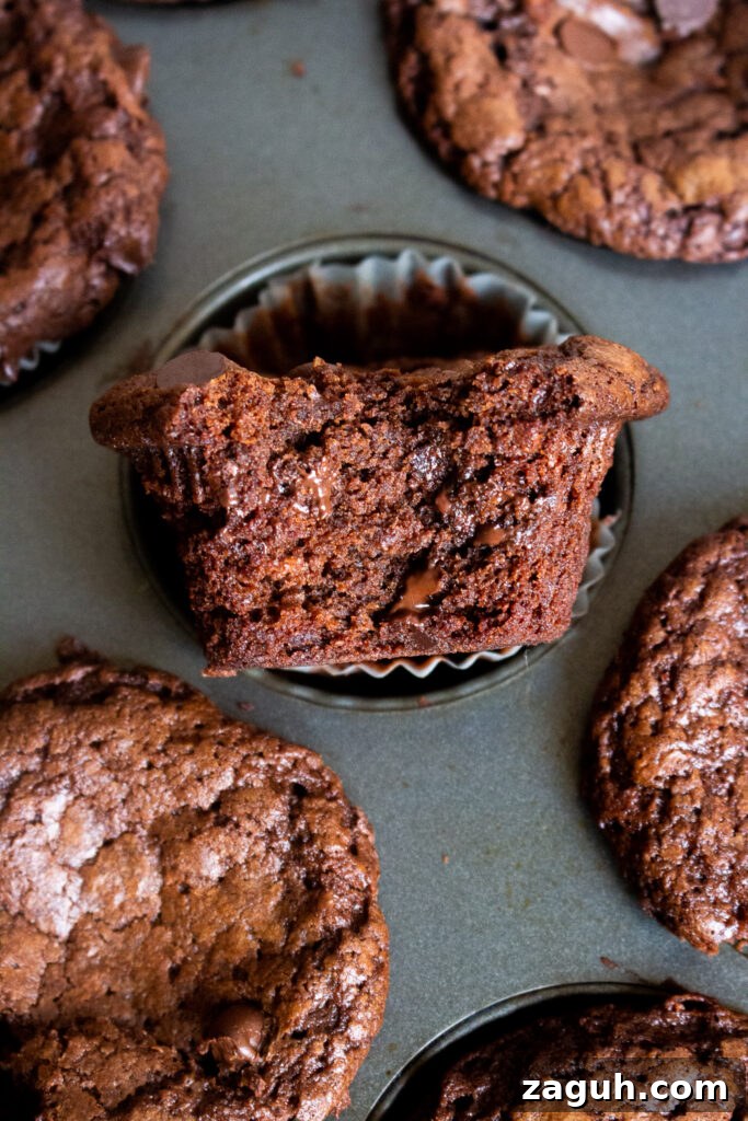 Gingerbread Brownie Muffins Recipe — Moist Spiced Chocolate Treats 11 img 44410 12