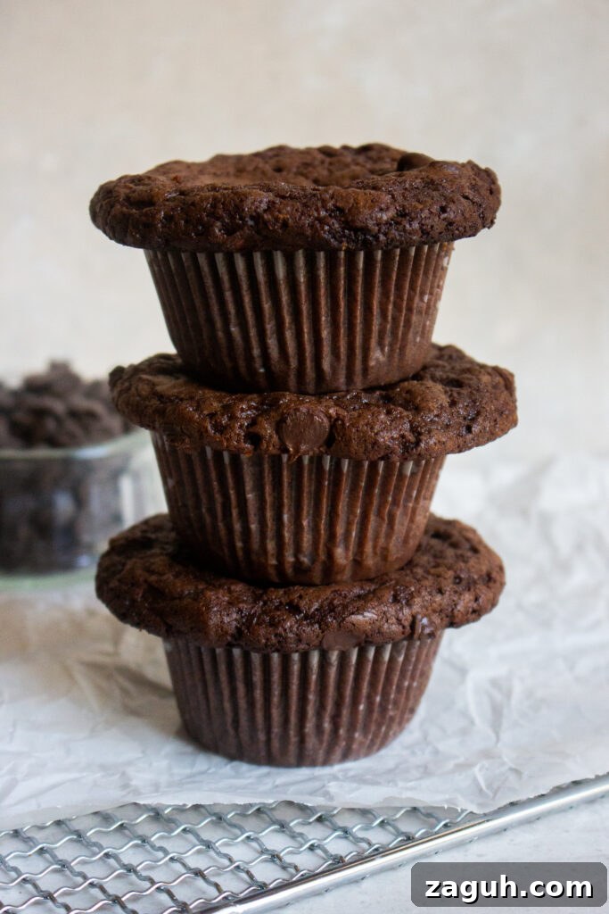 Gingerbread Brownie Muffins Recipe — Moist Spiced Chocolate Treats 3 img 44410 2