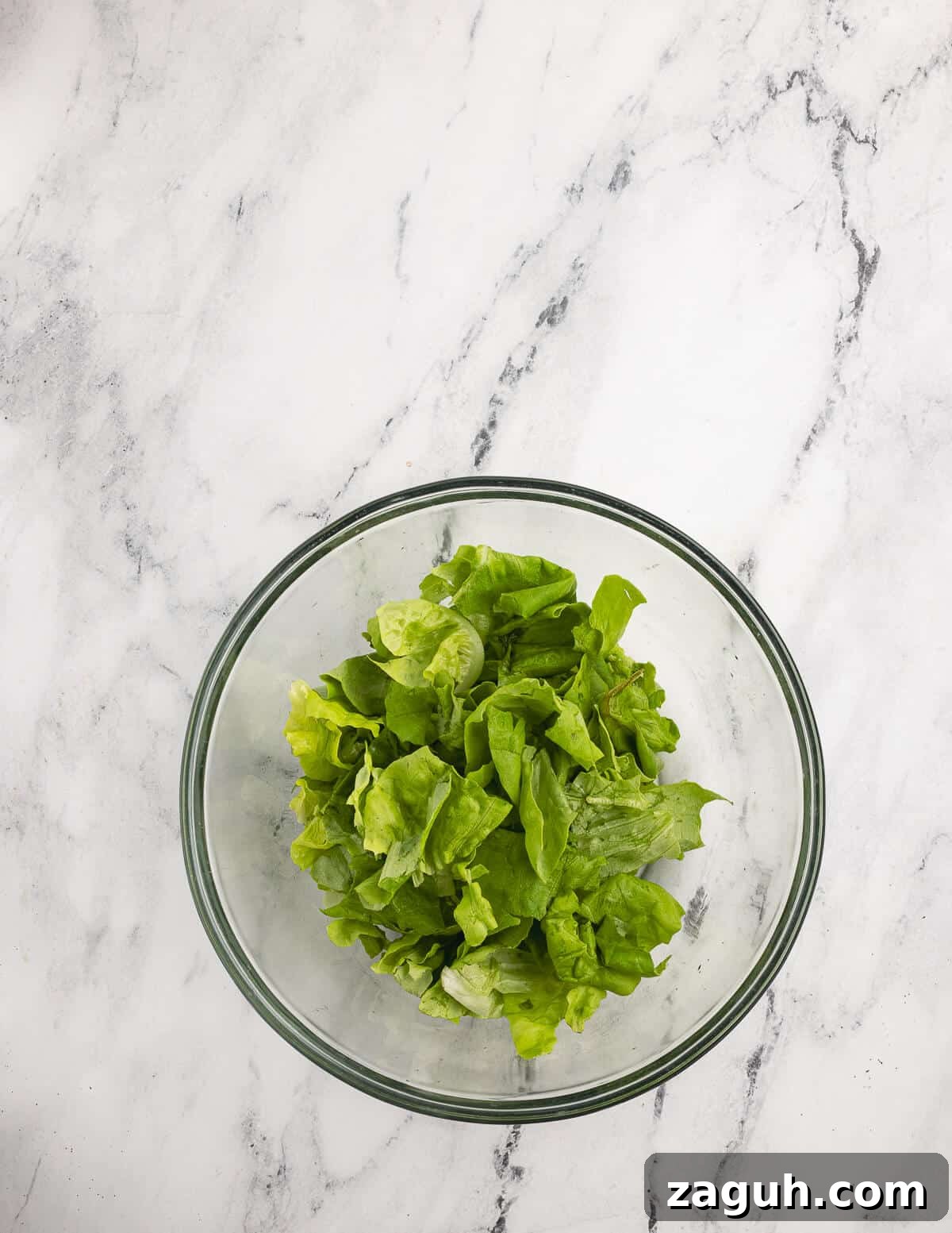 Pomegranate, Pear & Candied Pepita Salad with Citrus Vinaigrette 8 butter lettuce in a bowl