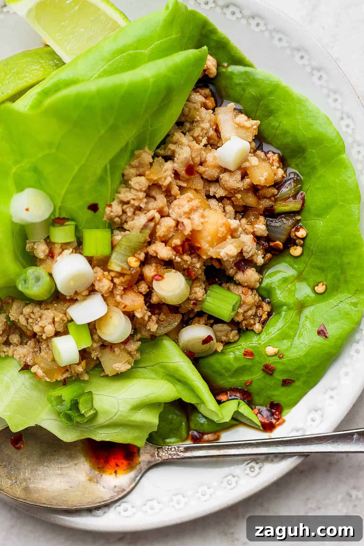 Savory Chicken Lettuce Wraps with Asian Hoisin Sauce 2 The best chicken lettuce wraps recipe.