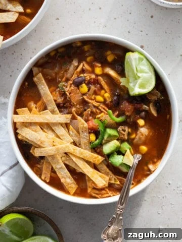 Healthy Chicken Tortilla Soup