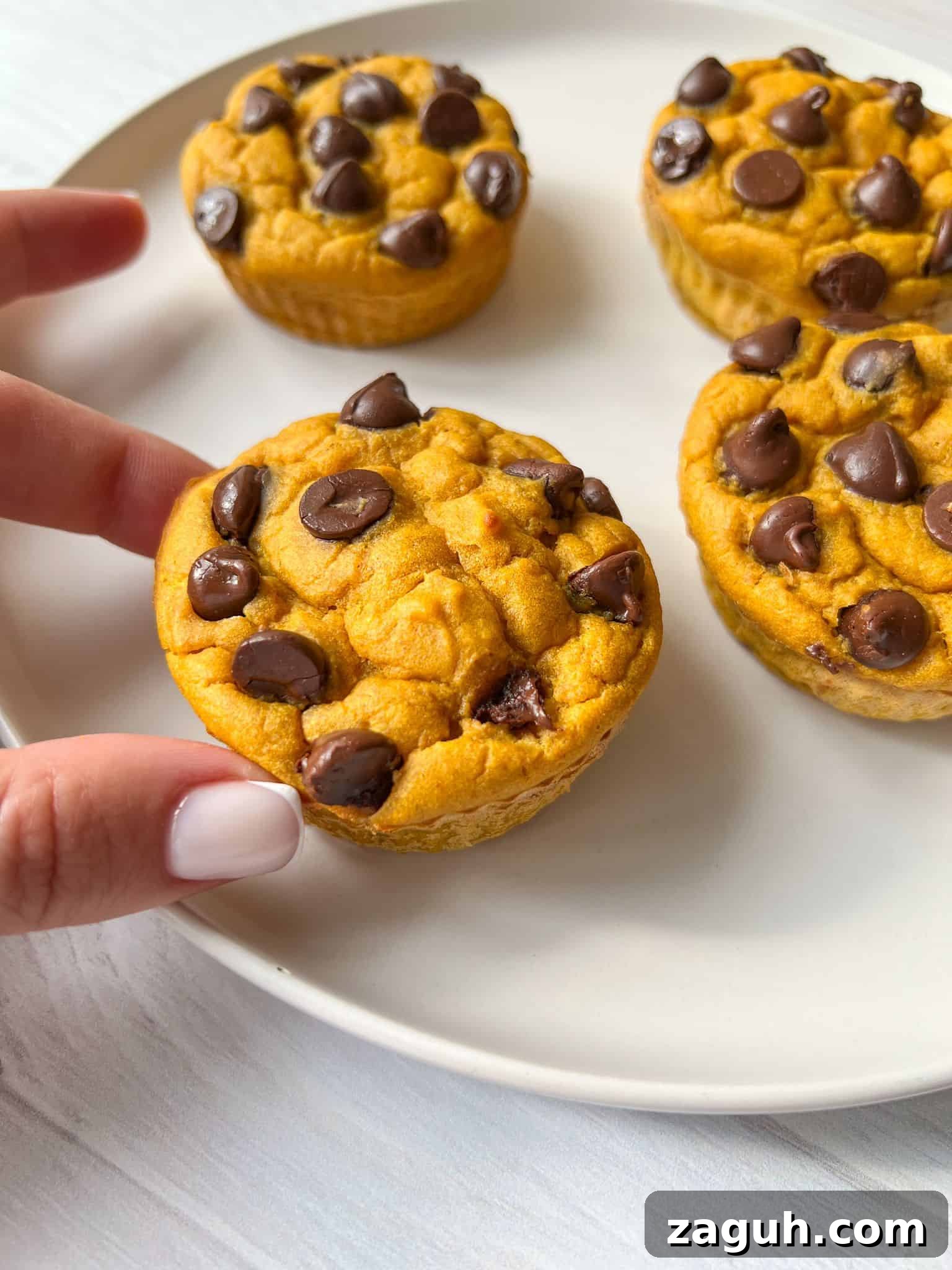 Moist Pumpkin Spice Muffins with Simple Ingredients 8 Four chocolate chip muffins are on a white plate. A hand with white nail polish is reaching for one of the muffins. The muffins have a golden-brown color and chocolate chips scattered on top. The background is a light surface.