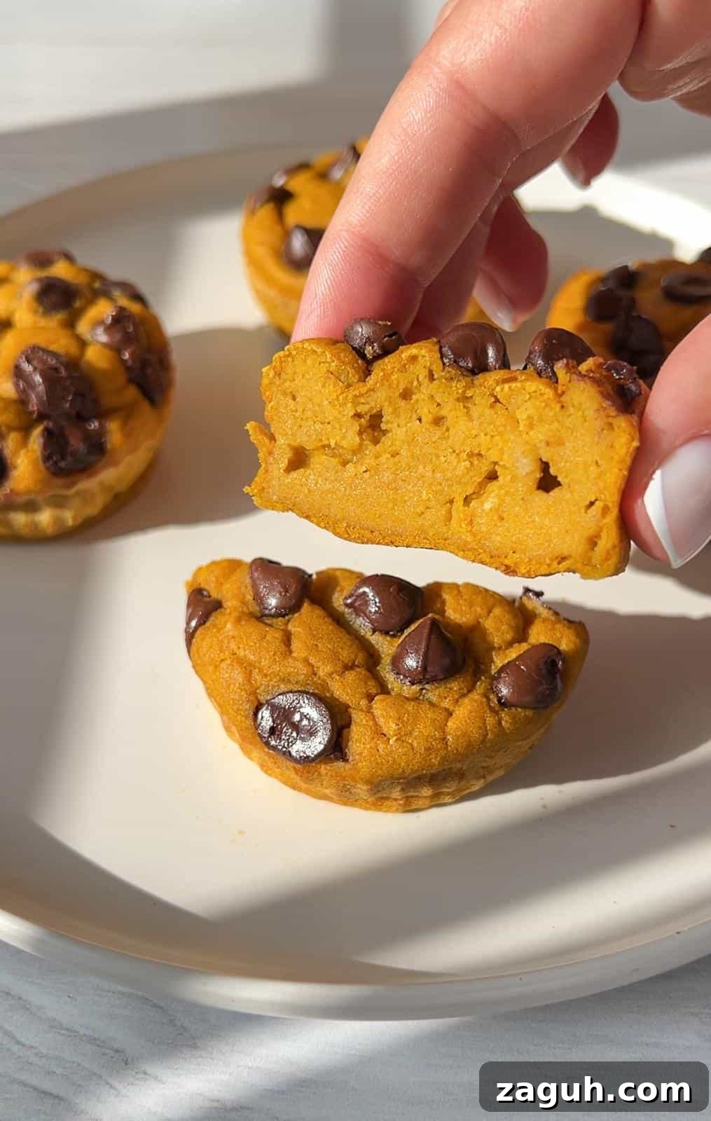 Moist Pumpkin Spice Muffins with Simple Ingredients 9 A person holds a half-eaten, round pumpkin muffin with chocolate chips, showing a soft texture. Several whole muffins are on a white plate in the background, illuminated by natural light.