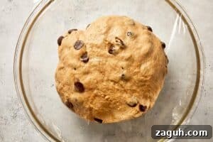 dough rising in bowl until doubled in size