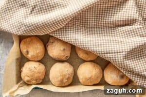 shaped dough balls rising in baking tray before baking