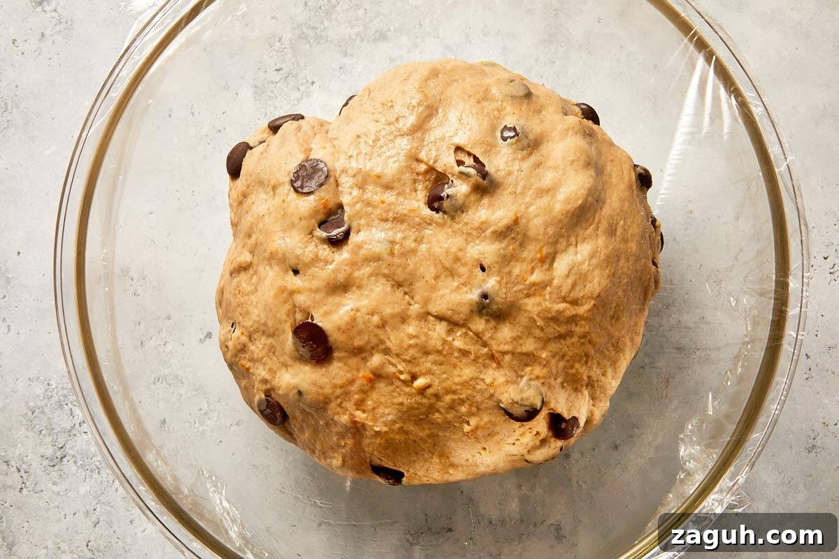 dough rising in bowl until doubled in size