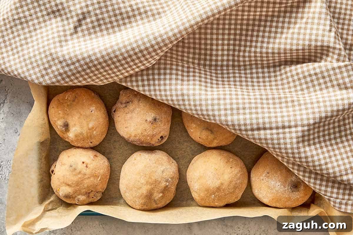 shaped dough balls rising in baking tray before baking