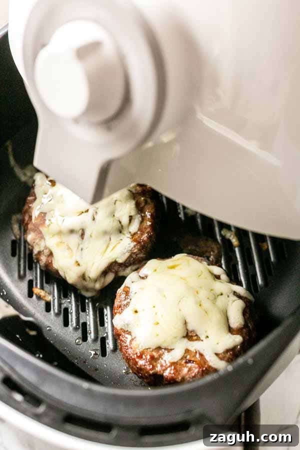 Crispy Air Fryer Cheeseburger Recipe for Juicy Patties 2 Easy Air Fryer Cheeseburger. Served on a delicious homemade burger bun and you have a great fast dinner.