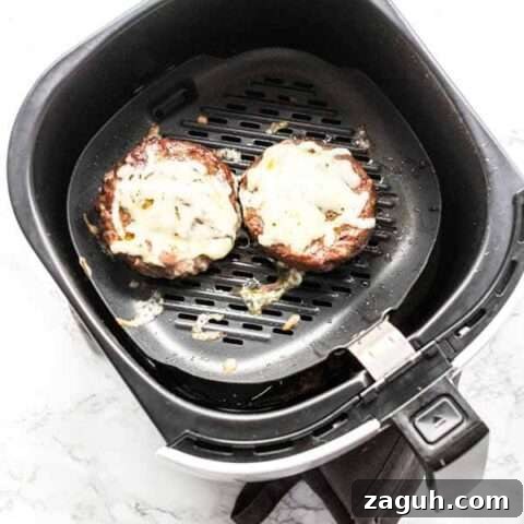 To make an Air Fryer Cheeseburger is easy. Done in less than 15 minutes baked through with cheese on top. Serve on a delicious homemade burger bun and you have a great fast dinner.