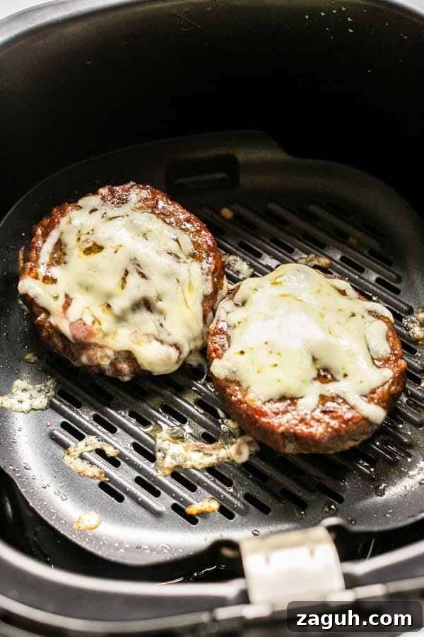 Crispy Air Fryer Cheeseburger Recipe for Juicy Patties 3 Cheeseburger in the Air Fryer. Done in less than 15 minutes baked through with cheese on top.