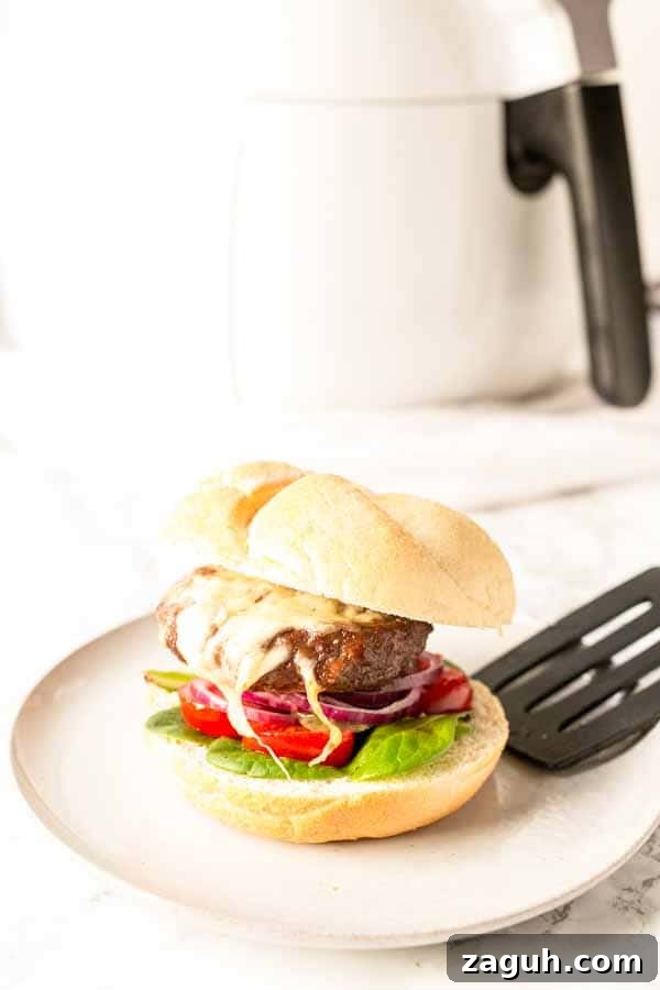 Crispy Air Fryer Cheeseburger Recipe for Juicy Patties 5 Tasty Air Fryer Cheeseburger is easy. Ready for dinner in less than 15 minutes.