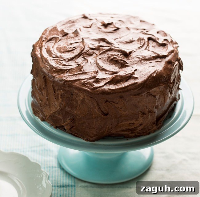 Vegan Chocolate Cake Vegan Chocolate Cake