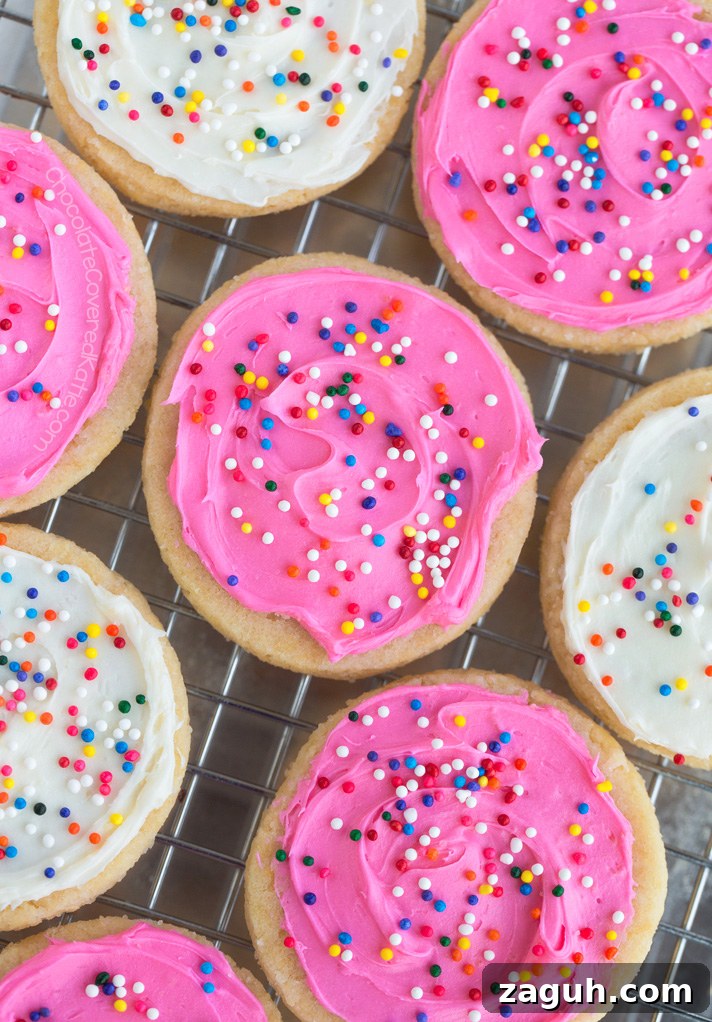 The Best Vegan Sugar Cookies The Best Vegan Sugar Cookies
