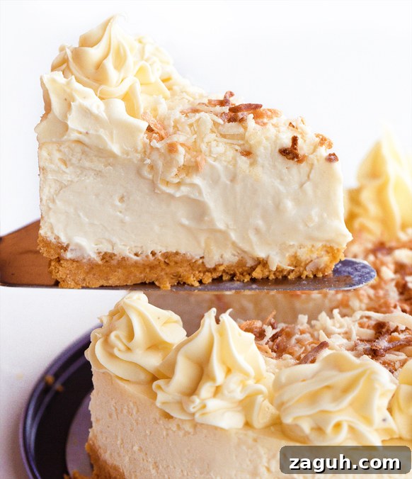 Cheesecake Vegan Recipe Cheesecake Vegan Recipe