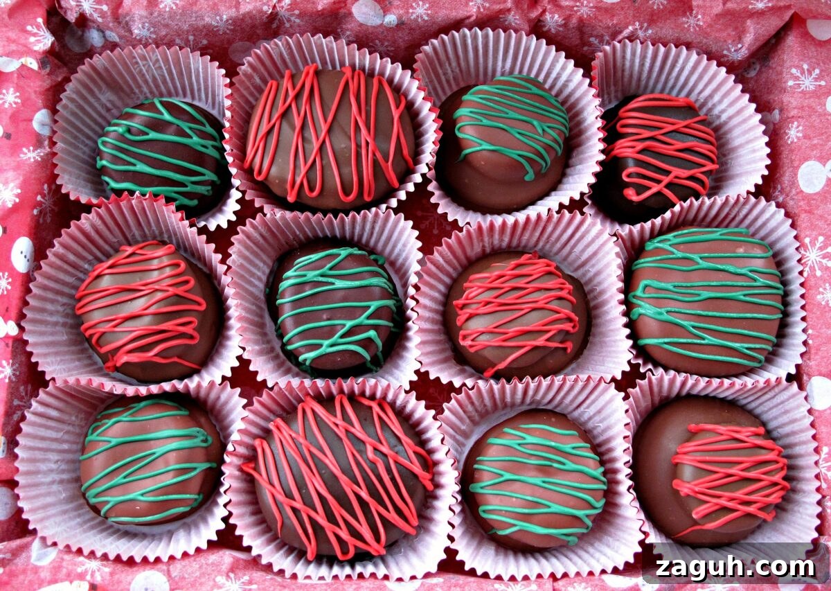 Chocolate Marshmallow (Mallomar) Cookies- This cookie is the first to be grabbed on holiday platters! A graham cracker base topped with a marshmallow and coated in chocolate. Drizzle with colors to match your holiday! | The Monday Box Twelve Chocolate Covered Marshmallow Cookies, each on a cupcake paper, arranged in a box for gifting.