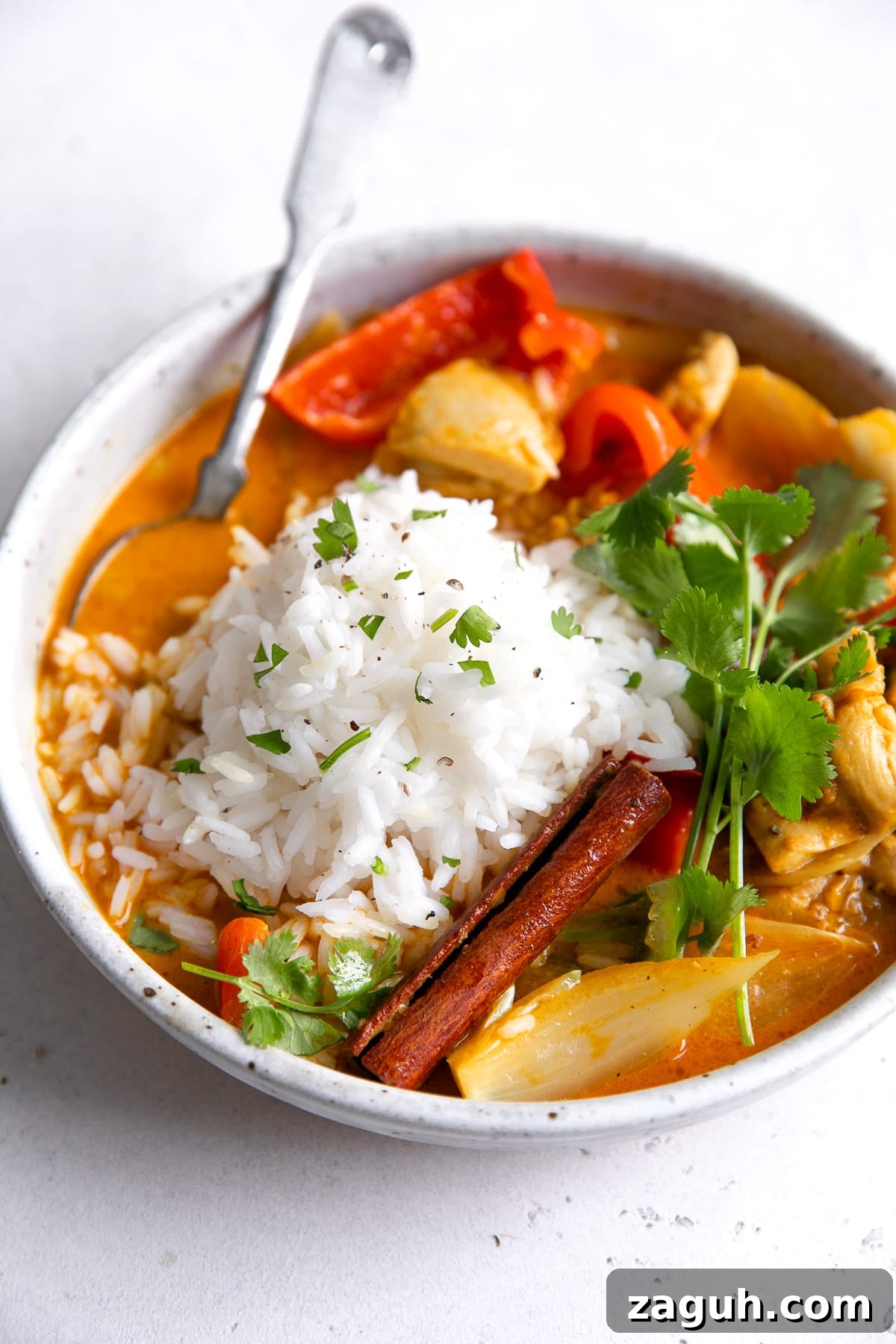 Authentic Chicken Curry Recipe: Step-by-Step Homemade Guide 10 Colorful chicken curry in a large bowl and topped with white rice and fresh cilantro.