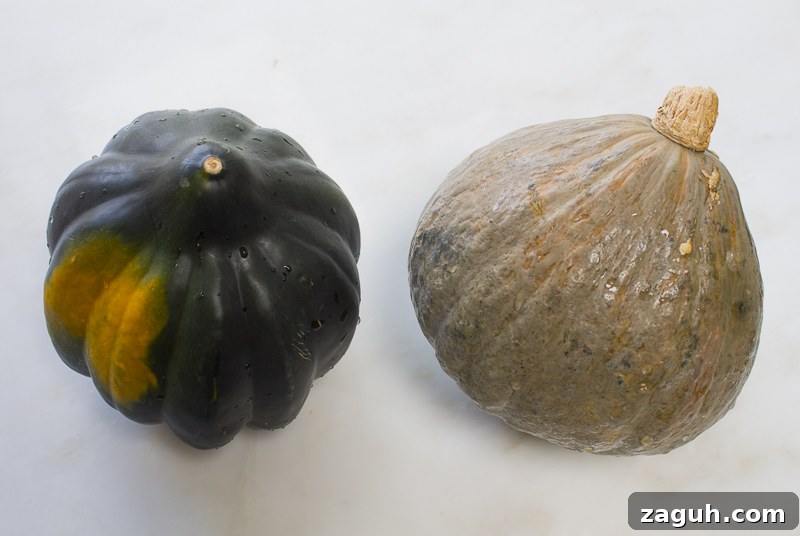 Roasted Acorn Squash Stuffed with Fruit and Veggie Quinoa Pilaf 3 Acorn Squash (left) Blue Hubbard Squash (right)