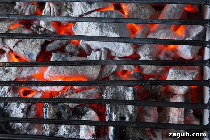 Charcoal Arrangement, Heat Gauging, and Temperature Control for Grilling 3 Spreading the charcoal evenly allows for direct heat grilling