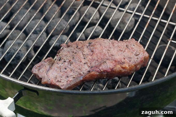 Charcoal Arrangement, Heat Gauging, and Temperature Control for Grilling 5 two-zone indirect heat BBQ grilling method