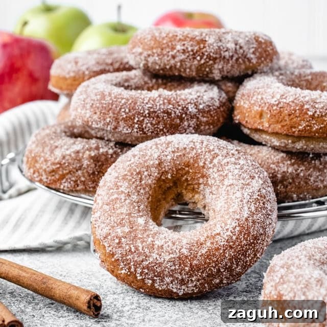 Baked Apple Cider Donuts