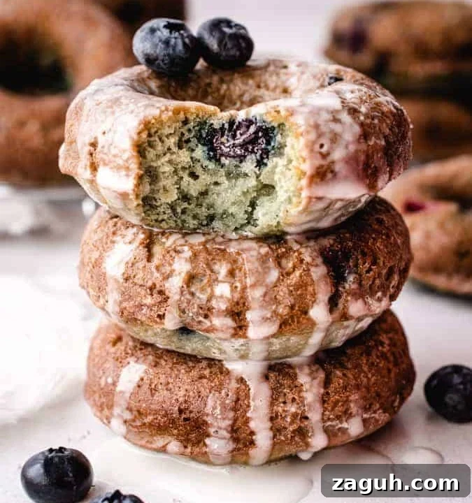 Blueberry Cake Donuts