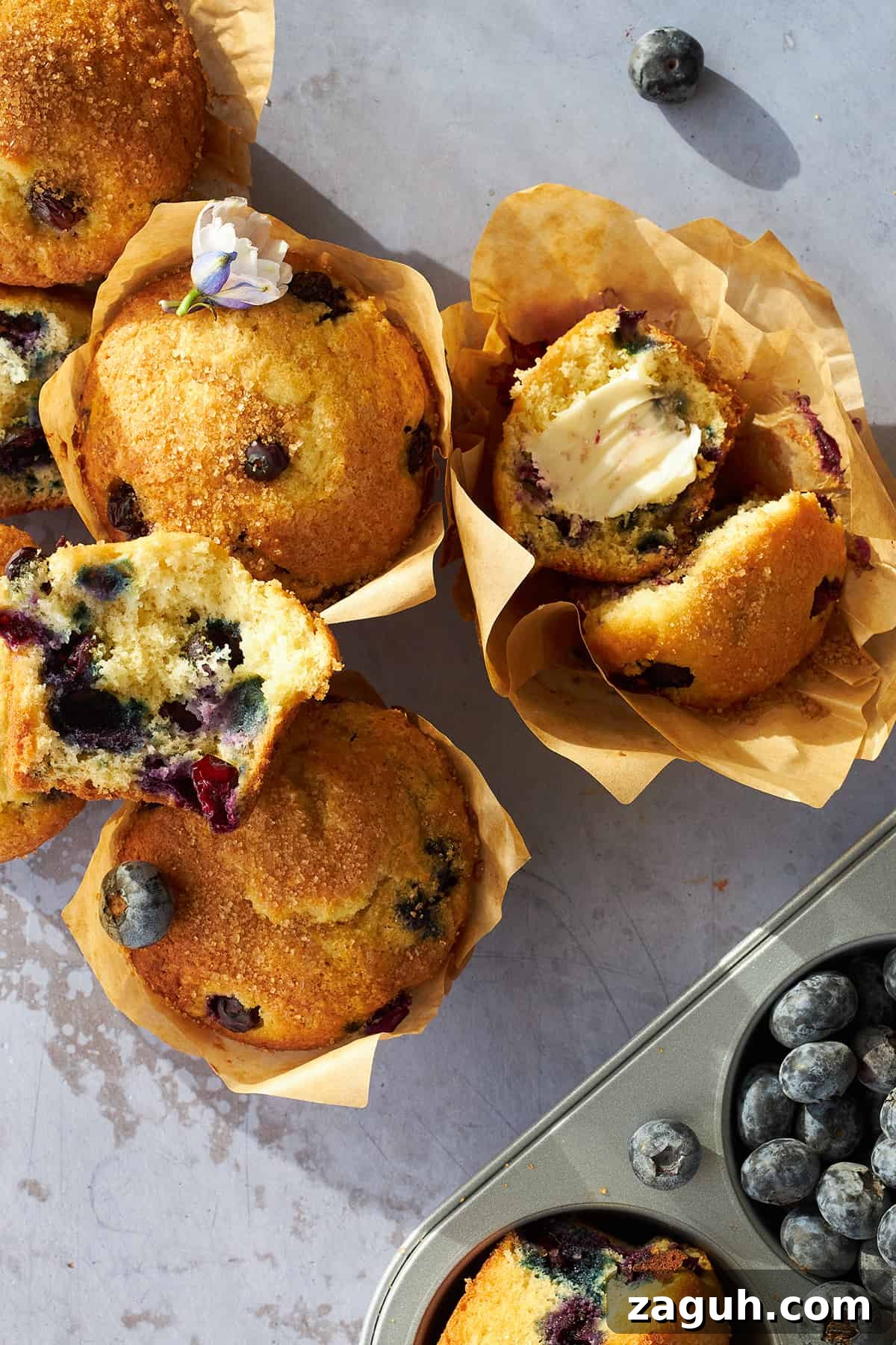 Starbucks-Style Blueberry Muffins Recipe: Make Them at Home 4 Blueberry muffins in paper liners, with some split in half.