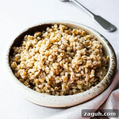 How to Cook Barley: Instant Pot and Stovetop Methods 7 Cooked barley in a ceramic bowl on a concrete surface with a fork in the background.