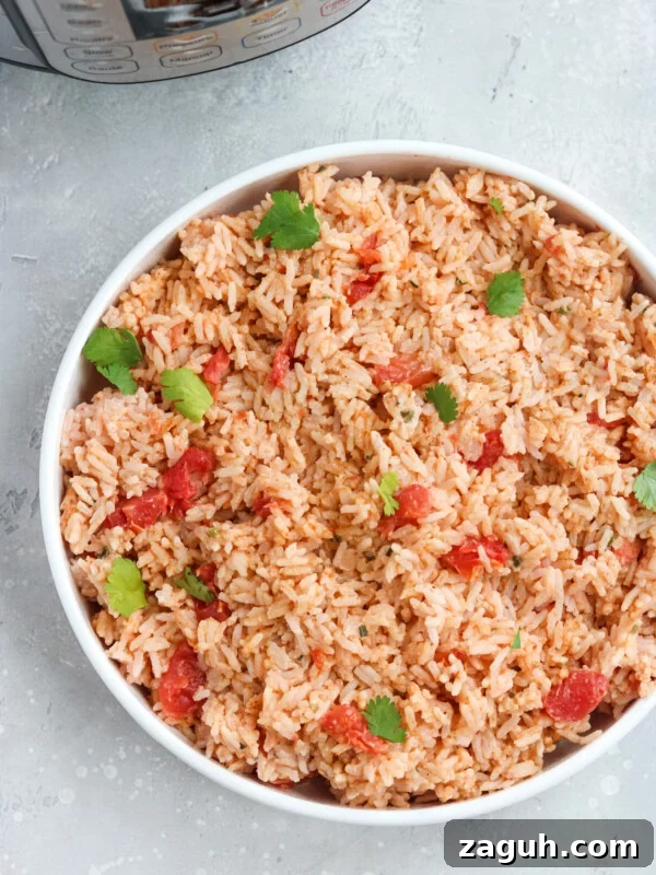 Instant Pot Mexican Rice