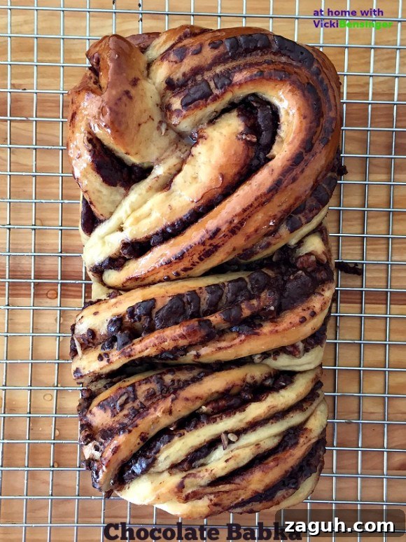 Chocolate Babka (Krantz Cake): Classic Chocolate Swirl Recipe 2 Chocolate Babka 1a